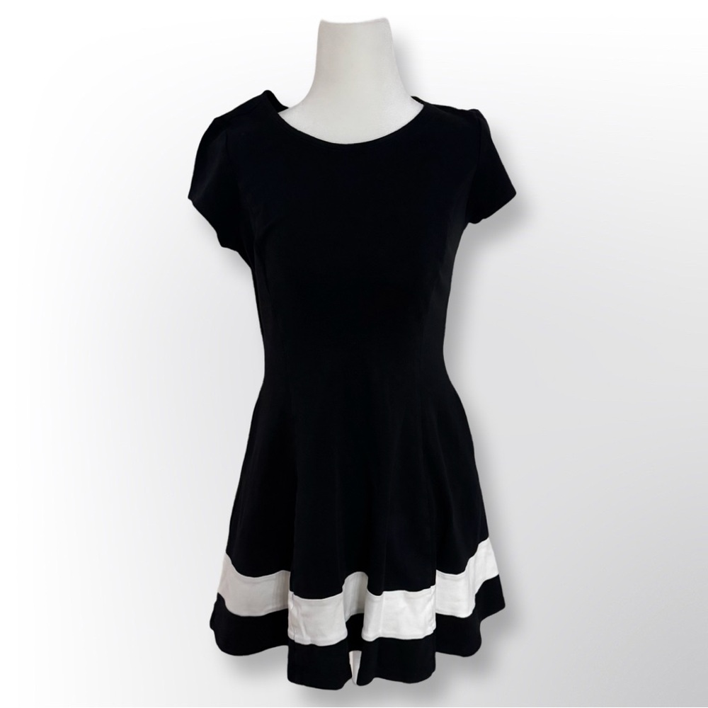 New York & Company Fit & Flare Dress | Size XS